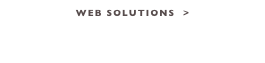 Web Solutions  >
